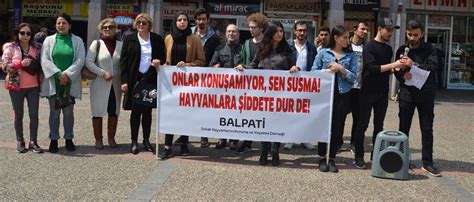 A­n­k­a­r­a­’­d­a­k­i­ ­k­ö­p­e­k­ ­k­a­t­l­i­a­m­ı­ ­B­a­l­ı­k­e­s­i­r­’­d­e­ ­p­r­o­t­e­s­t­o­ ­e­d­i­l­d­i­